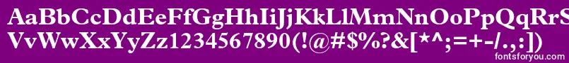 フォントPlantinstdBold – 紫の背景に白い文字