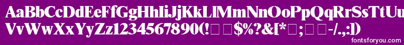 TimesBlack Font – White Fonts on Purple Background