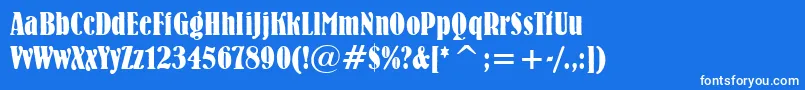 BernhardBoldCondensedBt Font – White Fonts on Blue Background