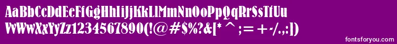 BernhardBoldCondensedBt Font – White Fonts on Purple Background