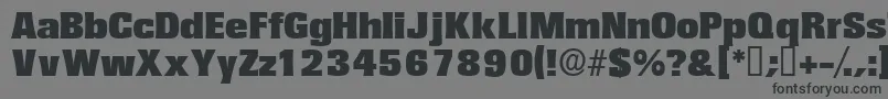 Variatdisplayssk Font – Black Fonts on Gray Background