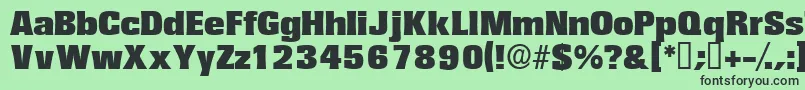 Variatdisplayssk Font – Black Fonts on Green Background