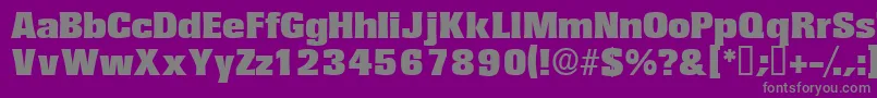 Variatdisplayssk Font – Gray Fonts on Purple Background