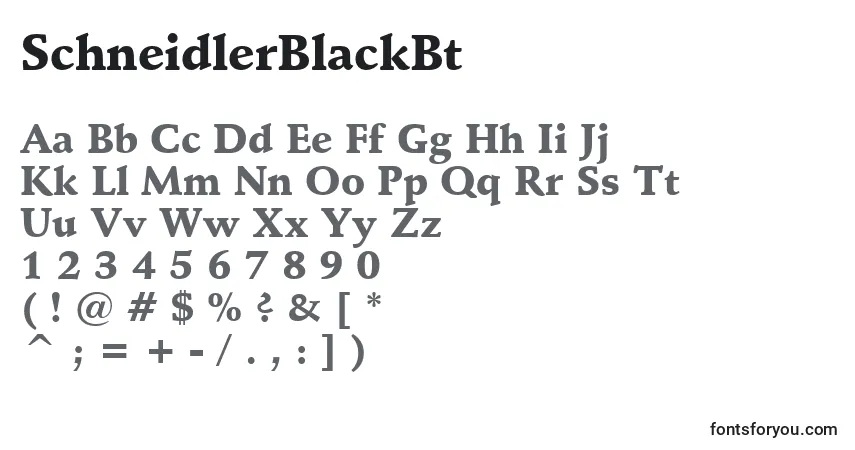 Шрифт SchneidlerBlackBt – алфавит, цифры, специальные символы
