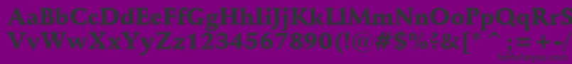 SchneidlerBlackBt Font – Black Fonts on Purple Background