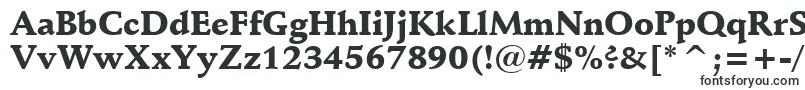 SchneidlerBlackBt-fontti – Alkavat S:lla olevat fontit
