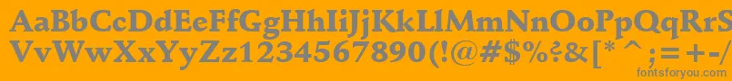 SchneidlerBlackBt Font – Gray Fonts on Orange Background