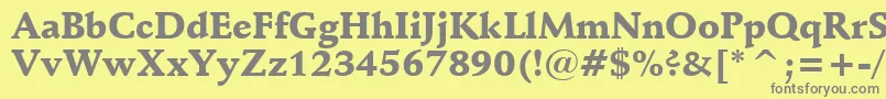 フォントSchneidlerBlackBt – 黄色の背景に灰色の文字