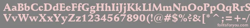 SchneidlerBlackBt Font – Pink Fonts on Gray Background