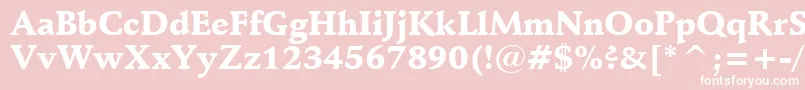 SchneidlerBlackBt Font – White Fonts on Pink Background