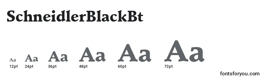SchneidlerBlackBt Font Sizes