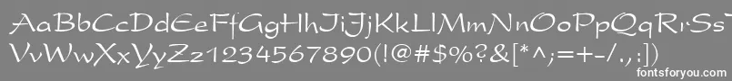 フォントPresidentCyr – 灰色の背景に白い文字