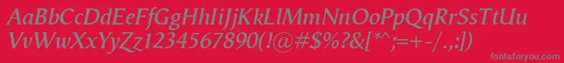 VegaAntikvaSemibolditalic Font – Gray Fonts on Red Background