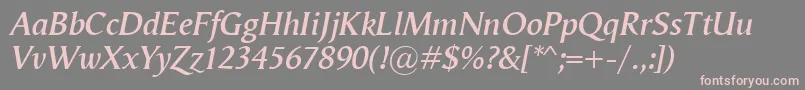 VegaAntikvaSemibolditalic Font – Pink Fonts on Gray Background