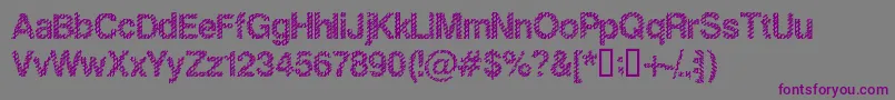 SlangKingBold Font – Purple Fonts on Gray Background