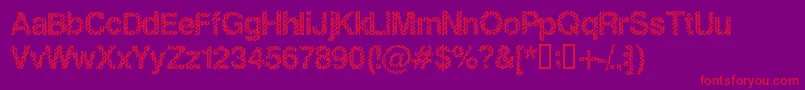 SlangKingBold Font – Red Fonts on Purple Background