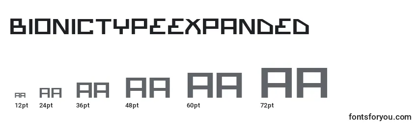 BionicTypeExpanded Font Sizes