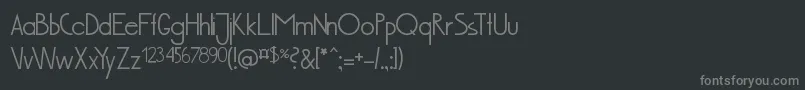 Bus201PortugalMuenchen Font – Gray Fonts on Black Background