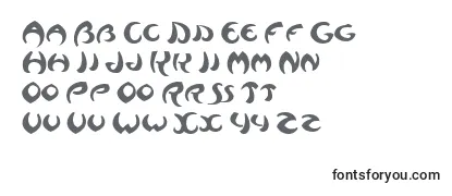 Обзор шрифта Waziri