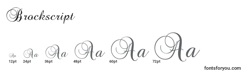 Brockscript Font Sizes