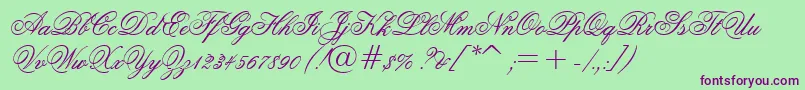 OuvertureScript Font – Purple Fonts on Green Background