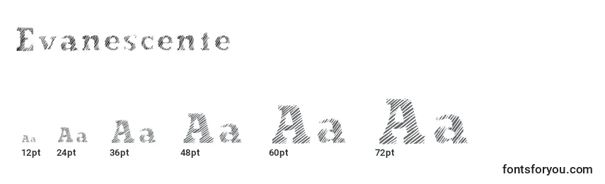 Размеры шрифта Evanescente