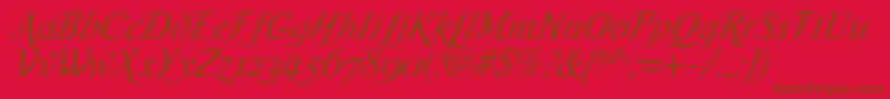 RomandeadfscriptstdItalic Font – Brown Fonts on Red Background