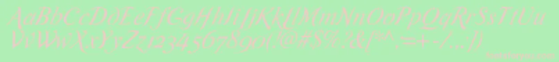 RomandeadfscriptstdItalic Font – Pink Fonts on Green Background