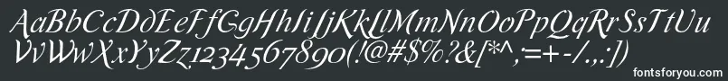Шрифт RomandeadfscriptstdItalic – белые шрифты