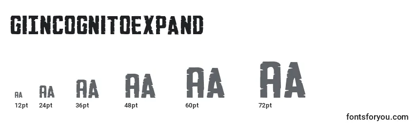 Размеры шрифта GiIncognitoexpand