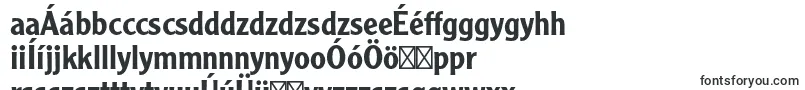 Шрифт ClearfacegothicltstdMedium – венгерские шрифты