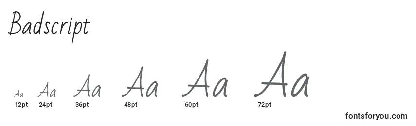 Badscript Font Sizes