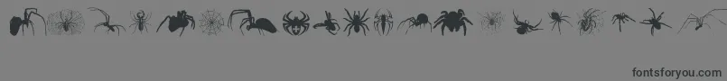 Araneae-Schriftart – Schwarze Schriften auf grauem Hintergrund