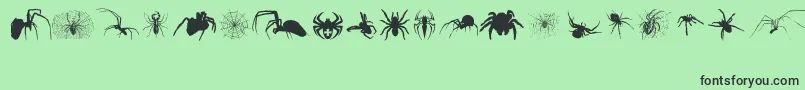Fonte Araneae – fontes pretas em um fundo verde
