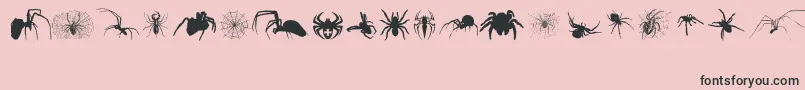 Araneae-Schriftart – Schwarze Schriften auf rosa Hintergrund