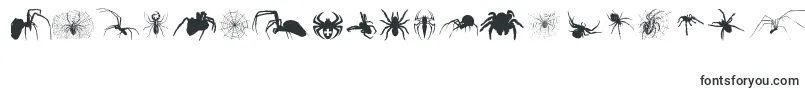 Czcionka Araneae – czcionki dla Microsoft Word
