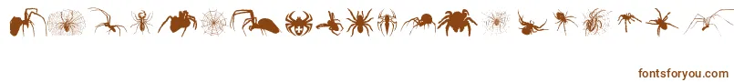 Araneae-Schriftart – Braune Schriften auf weißem Hintergrund
