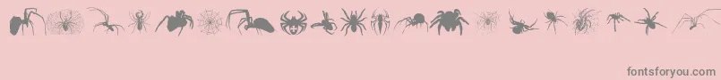 Araneae Font – Gray Fonts on Pink Background