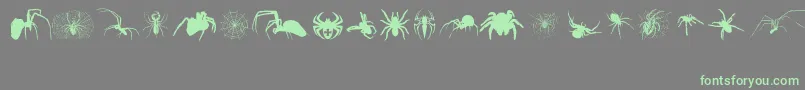 Araneae-Schriftart – Grüne Schriften auf grauem Hintergrund