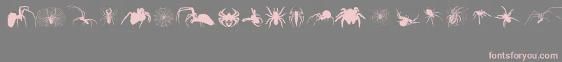 フォントAraneae – 灰色の背景にピンクのフォント