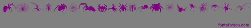 Czcionka Araneae – fioletowe czcionki na szarym tle