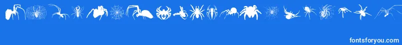 Araneae-Schriftart – Weiße Schriften auf blauem Hintergrund