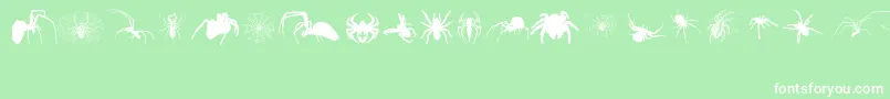 Araneae Font – White Fonts on Green Background