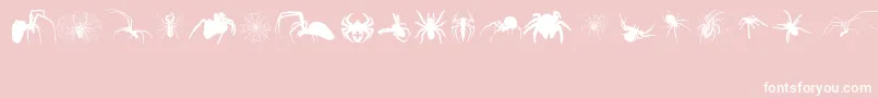 Czcionka Araneae – białe czcionki na różowym tle