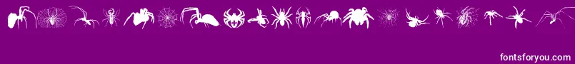 fuente Araneae – Fuentes Blancas Sobre Fondo Morado