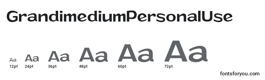 Размеры шрифта GrandimediumPersonalUse