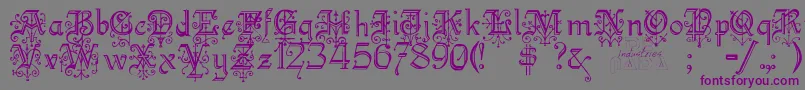 Kellyanngothic Font – Purple Fonts on Gray Background