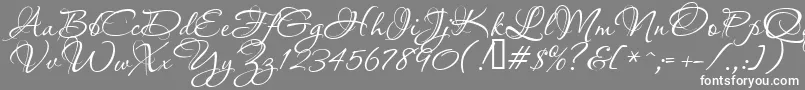 Aquarelle-fontti – valkoiset fontit harmaalla taustalla