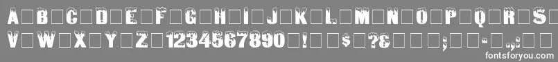 IceDisplayCapsSsi Font – White Fonts on Gray Background