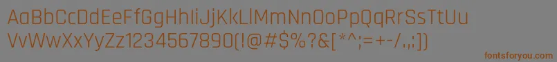 Шрифт RajdhaniRegular – коричневые шрифты на сером фоне